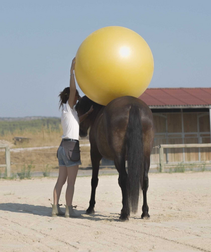 Ballon de désensibilisation